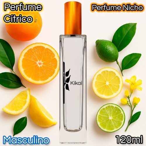 Kikai H71 - Similar a Aventus de Creed - Eau de Parfum
